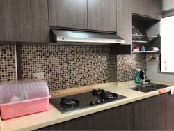 Blk 211D Punggol Walk (Punggol), HDB 3 Rooms #208619991